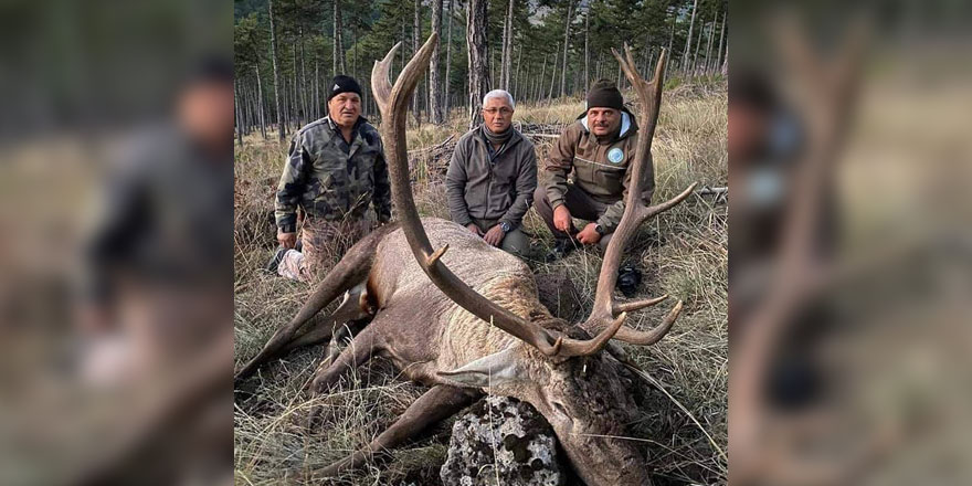 MHP'li, Mehmet Kula Nesli Tükenen Geyik Avı! Tepkilere neden oldu!