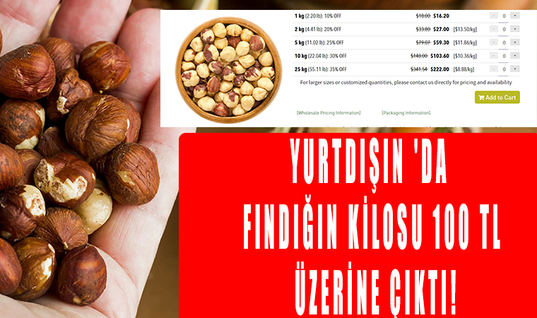 Yurtdışın 'da Fındığın Kilosu 100 TL üzerine çıktı!