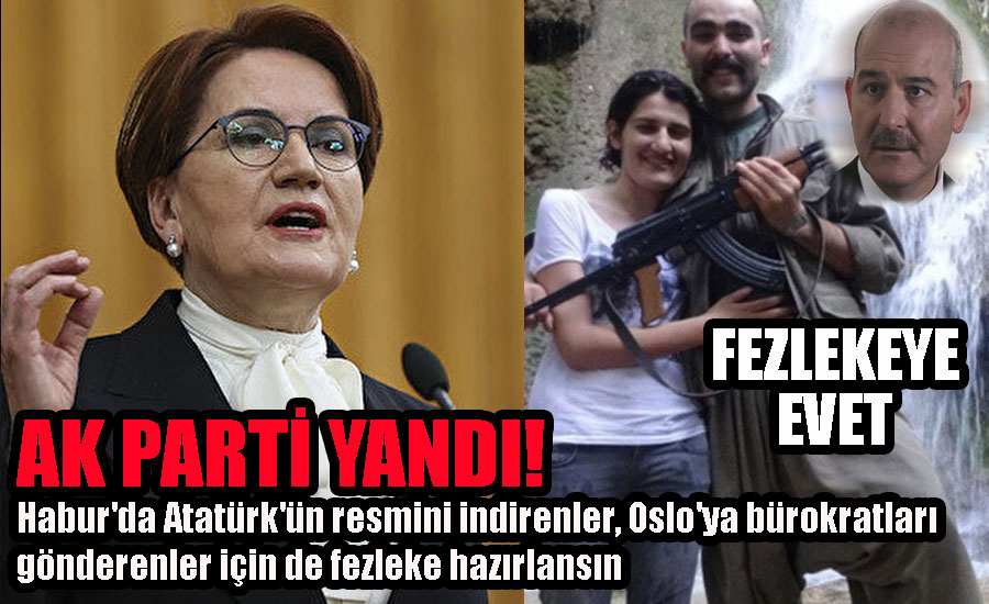 Meral Akşener HDP'li Semra Güzel açıklaması