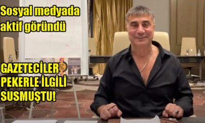 Sedat Peker 2022 yılında yeniden aktif oluyor! 5 ocak 2022 'de yeniden twitter'da!