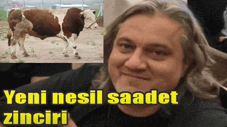 Davut Suer - Suver milyonluk vurgun dolandırıcılık ! ( Yeni nesil saadet zinciri)