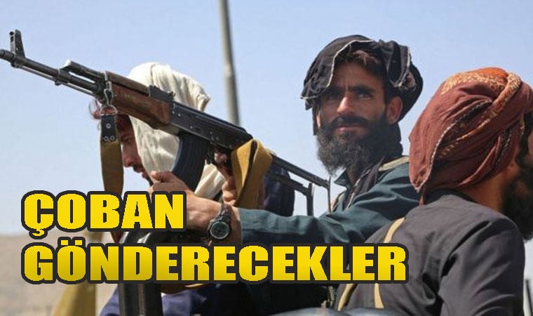 Terörist Bağlantılı Taliban'ın Türkiye'ye çoban gönderme kararı aldığı gün Konya'da Afgan çoban arkadaşını vurdu
