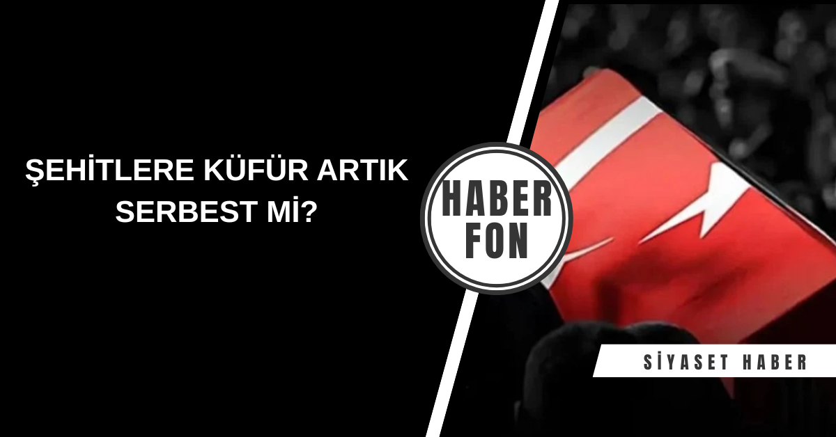 Şehitlere Küfür