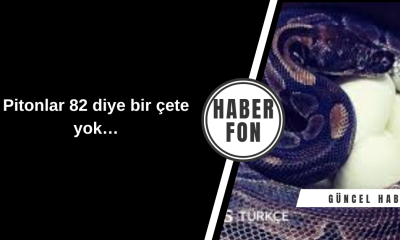 Pitonlar 82 diye bir çete yok…