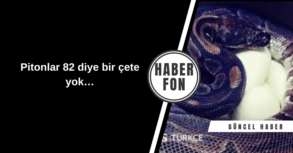 Pitonlar 82 diye bir çete yok…